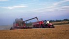 Комбайн зерновой BETA от Massey Ferguson