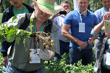 25 июня в Нижегородской области состоялось ключевое «картофельное» событие года